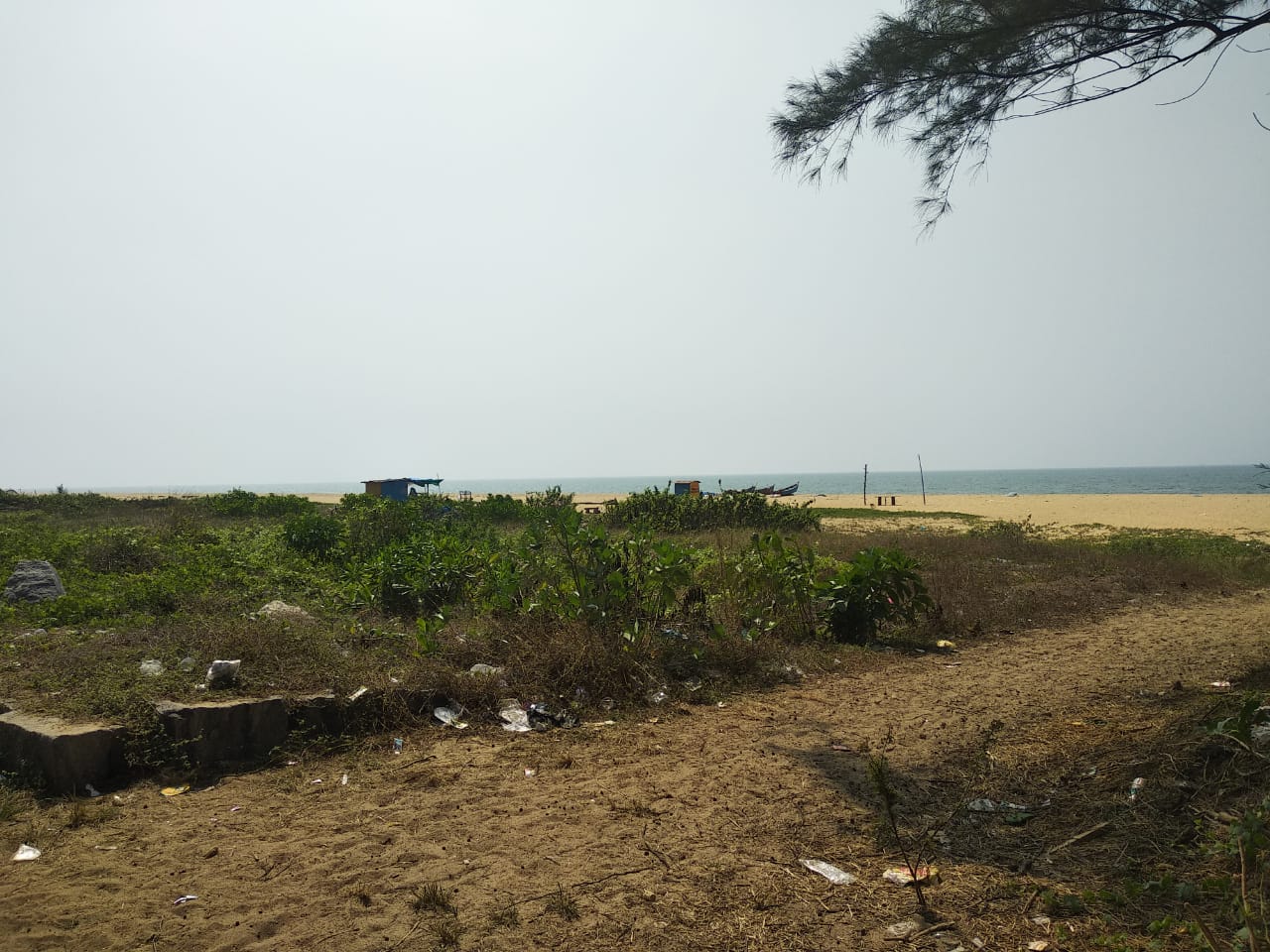 Sea front commercial  Plots for sale