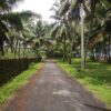 Commercial land for resorts in Manjeshwar