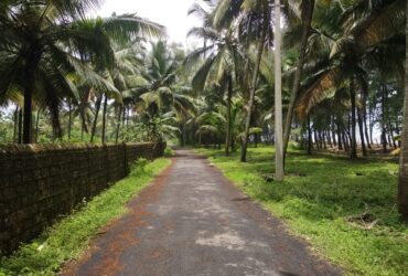 Commercial land for resorts in Manjeshwar