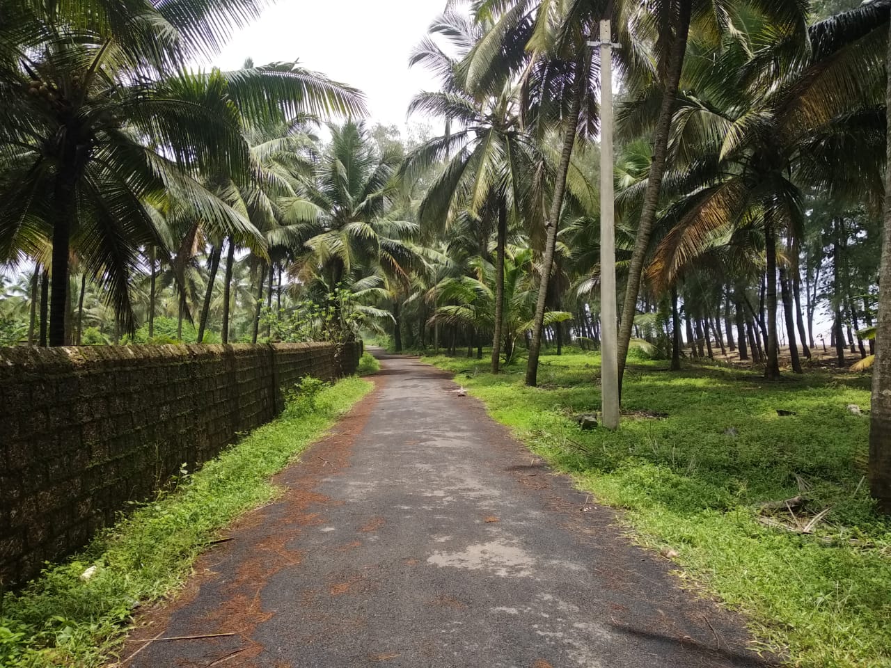 Commercial land for resorts in Manjeshwar